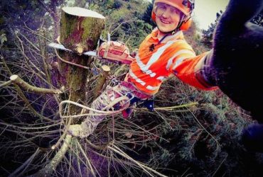 Allan Corran D L Corran Tree Surgeons Allan Corran D L Corran Tree Surgeons